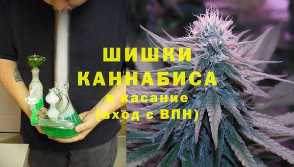 PSILOCYBIN Заволжье