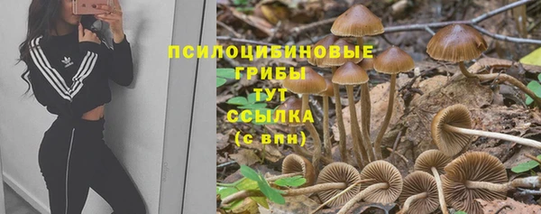 PSILOCYBIN Заволжье