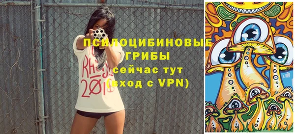 прущая мука Заводоуковск