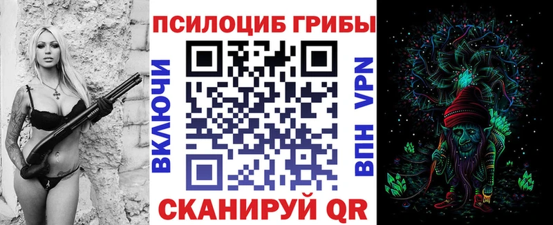 цены наркотик дарк нет клад Галлюциногенные грибы Psilocybe Избербаш